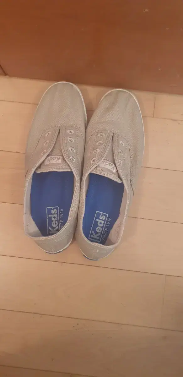 케즈 운동화 keds(단화) 225